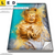 Led Leinwandbild Buddha Gold Tuerkis Hochformat Produktvorschau