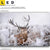 Led Leinwandbild Rothirsch Im Winter Querformat Motivorschau