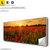 Led Leinwandbild Sommerlandschaft Mit Rotem Mohn Panorama Produktvorschau