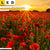 Led Leinwandbild Sommerlandschaft Mit Rotem Mohn Panorama Zoom