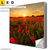 Led Leinwandbild Sommerlandschaft Mit Rotem Mohn Quadrat Produktvorschau