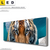Led Leinwandbild Tauchender Tiger Panorama Produktvorschau