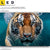 Led Leinwandbild Tauchender Tiger Querformat Motivorschau