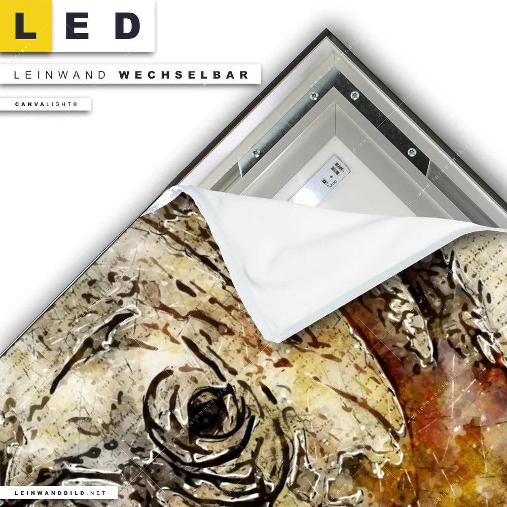 LED Leinwandbild Canvalight® TEX | Der Holzsteg | Quadrat