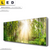 Led Wechsel Leinwand Herbstlicher Wald Panorama Produktvorschau