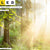 Led Wechsel Leinwand Herbstlicher Wald Panorama Zoom