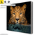 Led Wechsel Leinwand Leopard Im Wasser Quadrat Produktvorschau