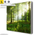 Led Wechsel Leinwand Sonniger Morgen Im Wald Quadrat Produktvorschau