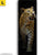 Leinwandbild Leopard In Der Dunkelheit Schmal Motivorschau