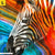 Leinwandbild Modernes Buntes Zebra Panorama Zoom