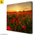 Leinwandbild Sommerlandschaft Mit Rotem Mohn Quadrat Produktvorschau