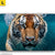 Leinwandbild Tauchender Tiger Querformat Motivorschau
