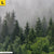 Leinwandbild Wald Im Nebel Querformat Zoom