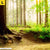 Leinwandbild Waldpanorama Querformat Zoom