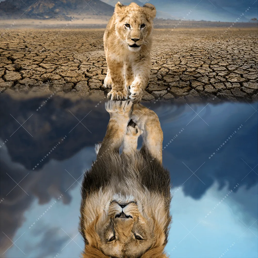 & – Spiegelbild Löwe 💛 Quadrat Leinwandbild 💛 Löwenjunges