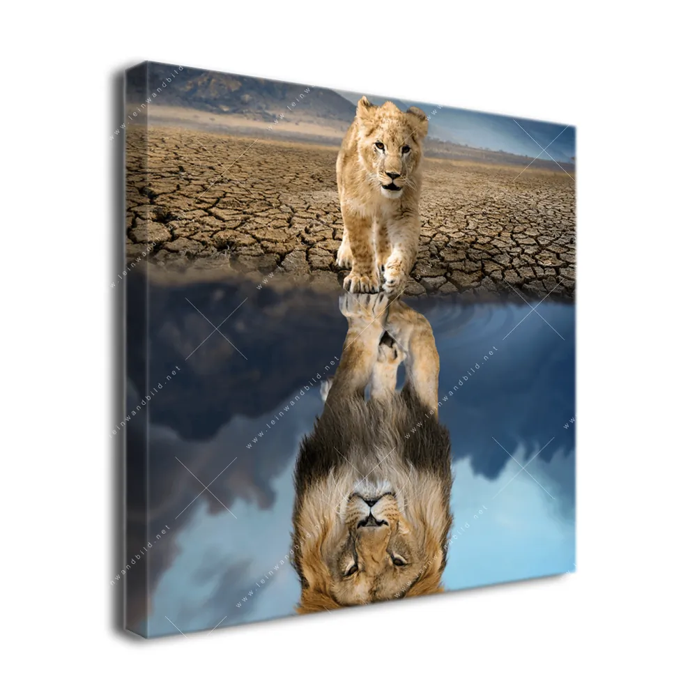 💛 Leinwandbild Löwenjunges Quadrat Löwe Spiegelbild & 💛 –